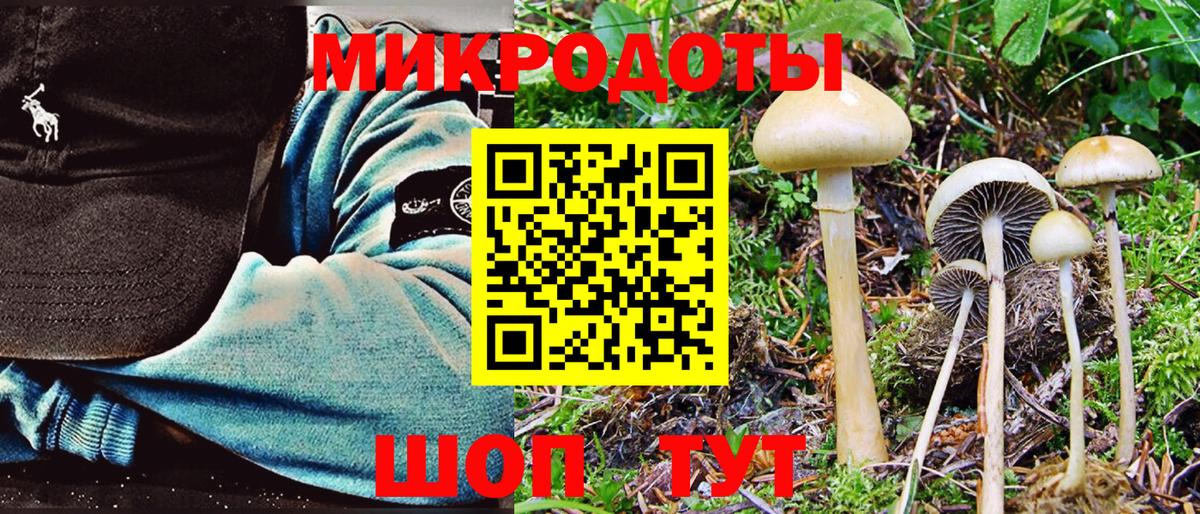 Галлюциногенные грибы Psilocybine cubensis  Галлюциногенные грибы прущие грибы  купить наркотики цена  Вход с VPN  Геленджик 